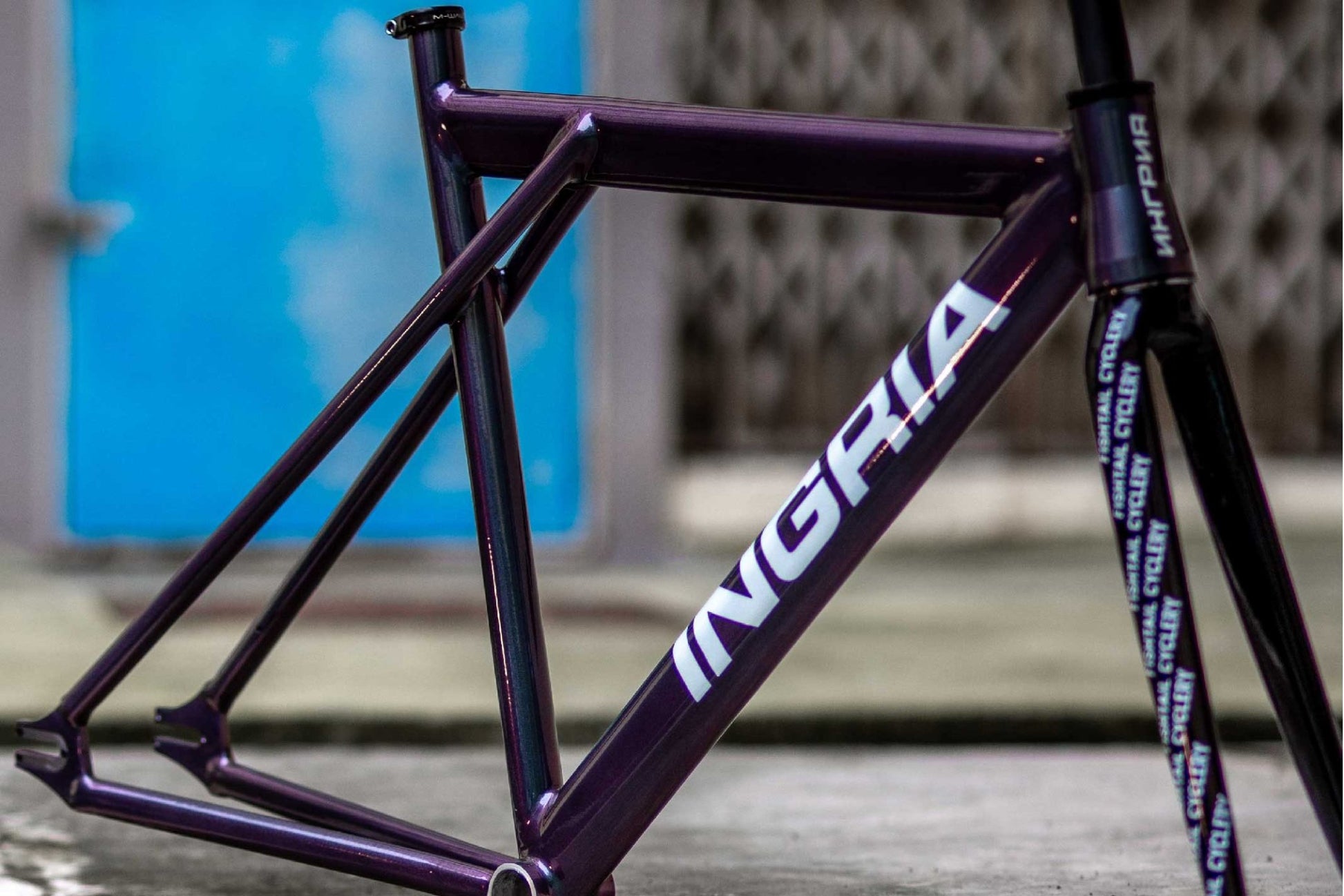 Ingria - INGRIA Triple Triangle Frameset (Special Edition) - FISHTAIL CYCLERY