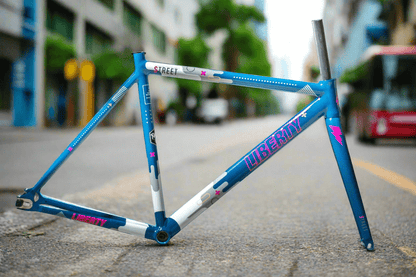 LIBERTY BIKES - LIBERTY Street V6 Frameset - FISHTAIL CYCLERY