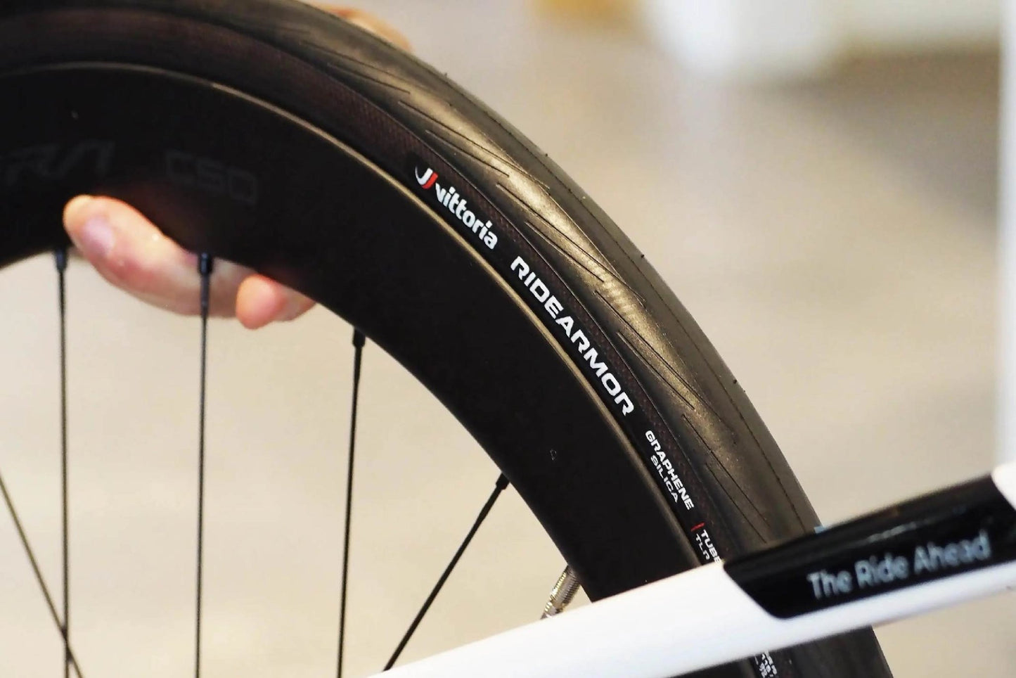 Vittoria - VITTORIA RideArmour Tubeless-Ready Tyre - FISHTAIL CYCLERY